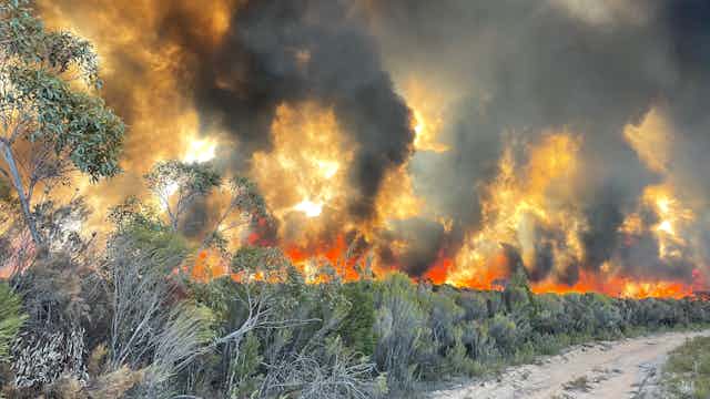 Fires