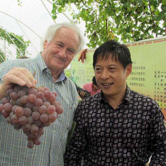 David Minnis OAM holding grapes next to colleague