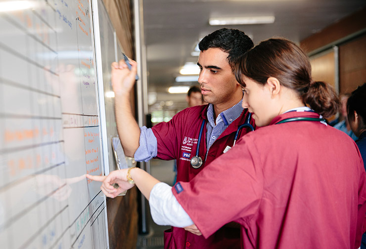 vet students at work