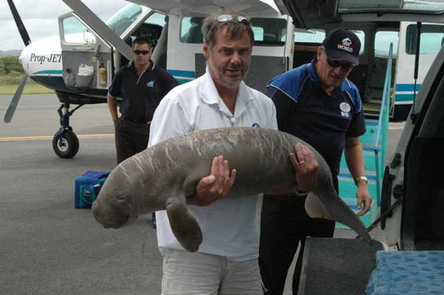 Trevor Long holding a dugong