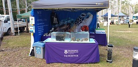 Ecofest stall