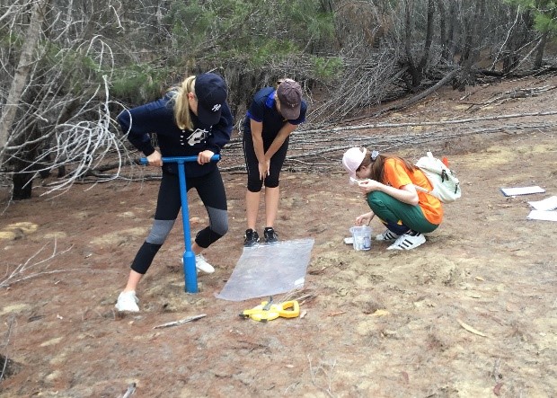 Sand mining exercise