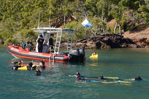 Students snorkelling