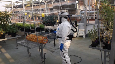 Spraying