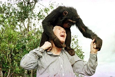 Dame Jane Goodall