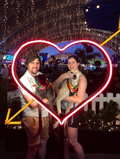 Dogs