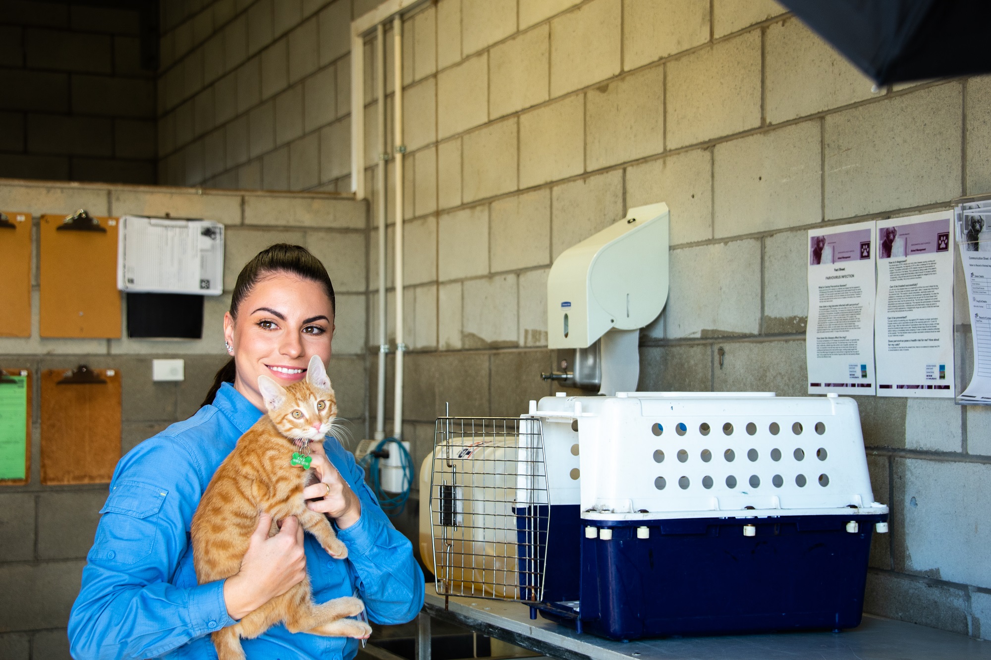 Jaimee nurses a ginger kitten.