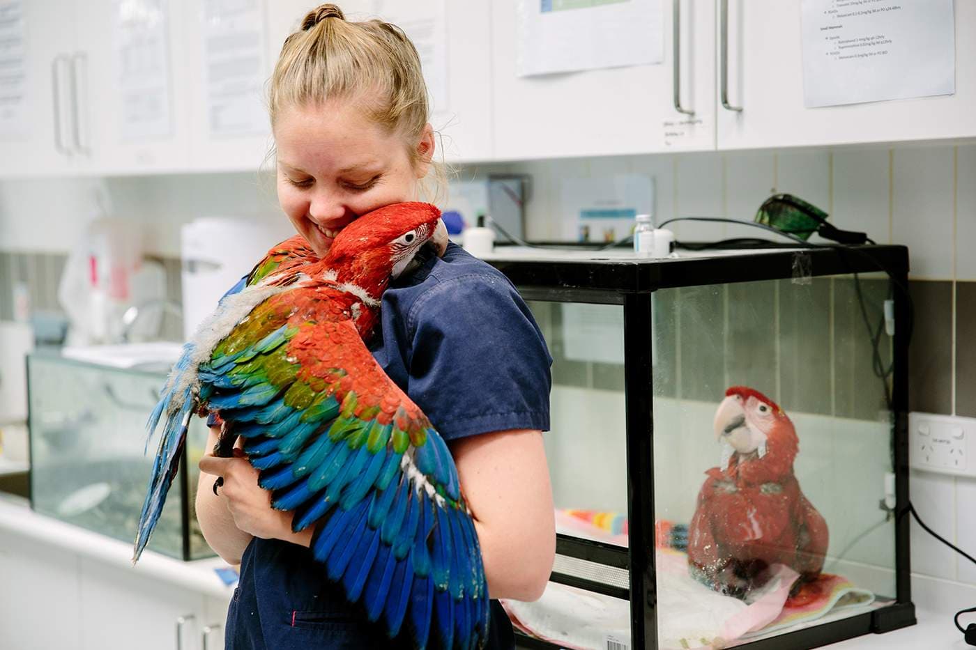 Bec with a parrot