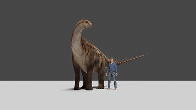 Sauropod