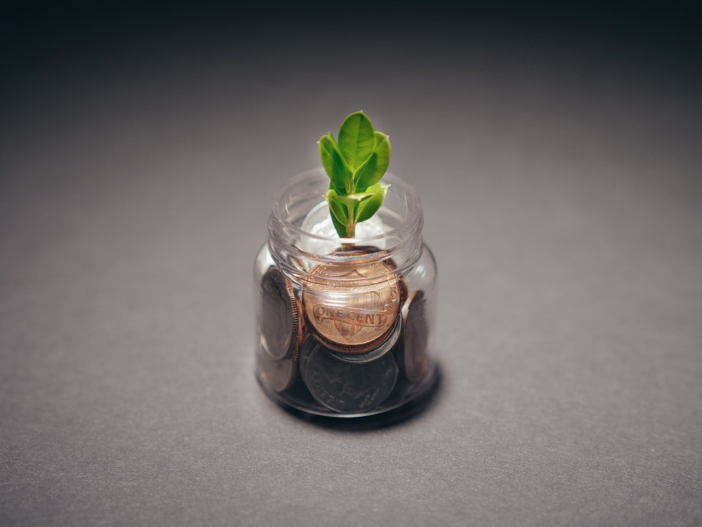 Money in jar with a plant growing out of it