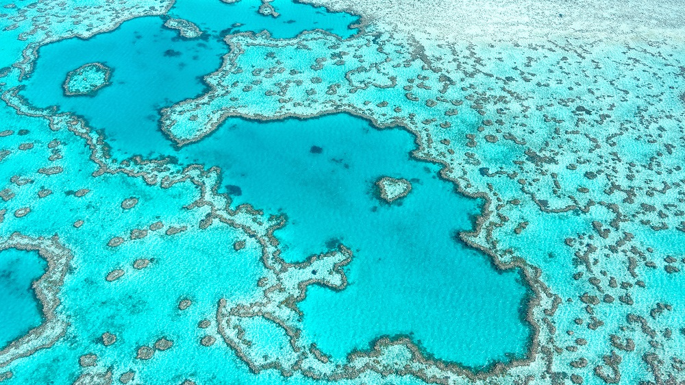 Image of the blue ocean and light green coral of the Great Barrier Reef 
