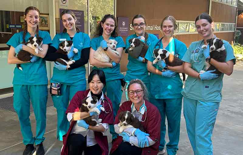 a group of vet students holding puppies