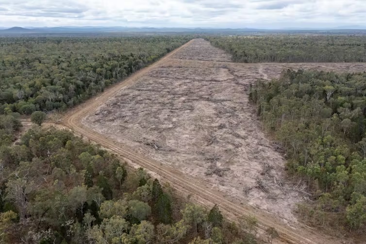 Land clearing