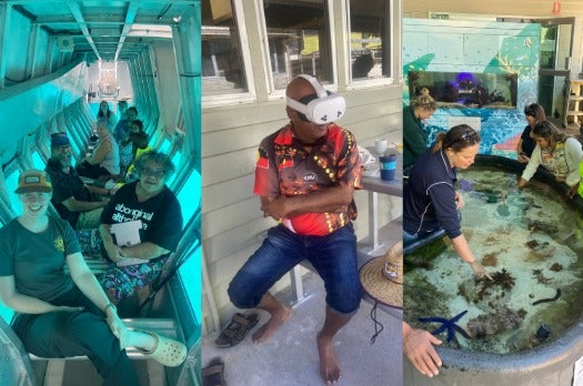 heron island activities