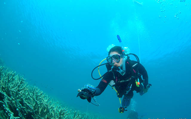 Diver taking photos in field - courtesy Chris Roelfsema