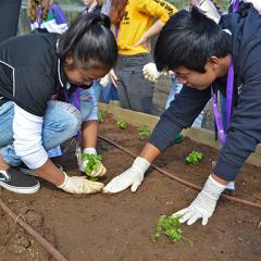 Students in Feast workshop