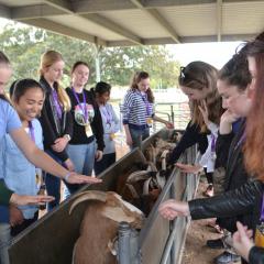 Students in Feast workshop