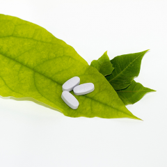 Leaf and tablets