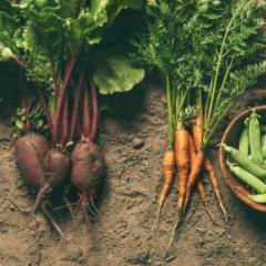Veggies