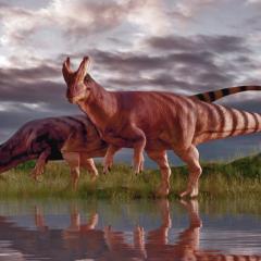 Dinosaurs at water