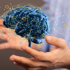 Brain image