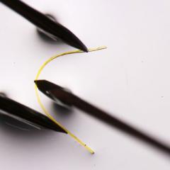 Flexible crystals
