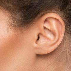 Ear