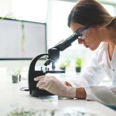 Researcher observes lab equipment