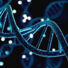 Chromosome illustration