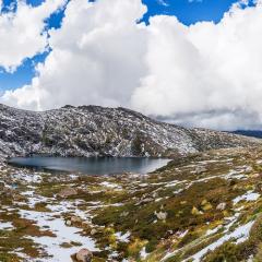 Australian Alps