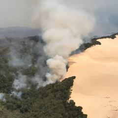 Sand dune fire