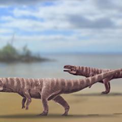 Ancient crocodile