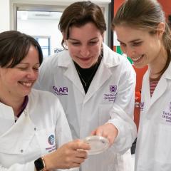 Researchers