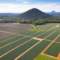 Farm