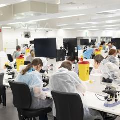 Lab