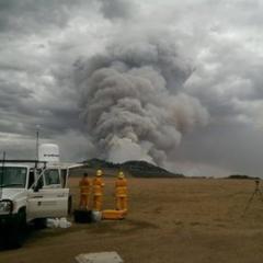 Bushfire