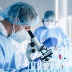 Scientists look through microscopes in a lab.