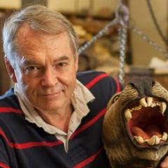Prof Michael Archer