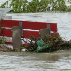 Climate effects