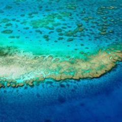 An island surrounded by bright blue water