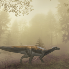 Dino