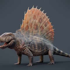 Dimetrodon grandis