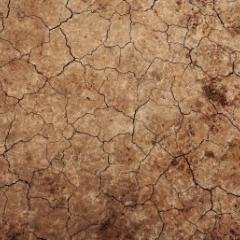 Drought