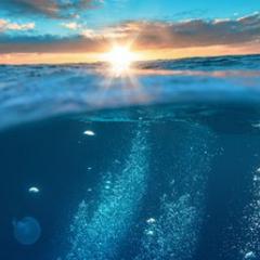 Ocean