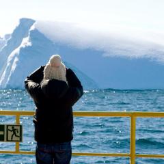 Iceberg