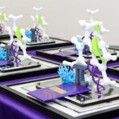 Trophy