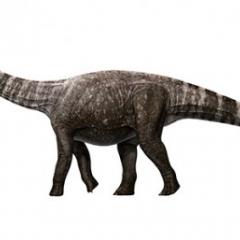 Dinosaur