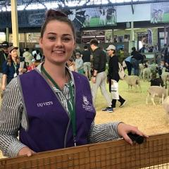 UQ Bachelor of Veterinary Science (Honours) student, Courtney Bartels, in the Ekka Animal Nursery. 