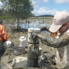 Sampling invertebrates within deep mudflats in Gladstone, Australia. (Credit: Chi-Yeung Choi)