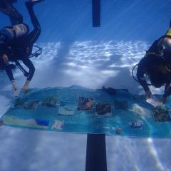 Divers